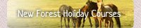 New Forest Holiday Courses